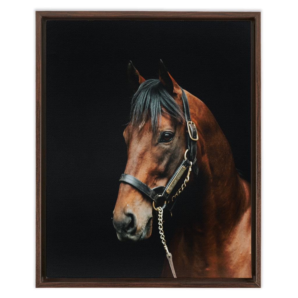 American Pharoah Series 2, Framed Canvas