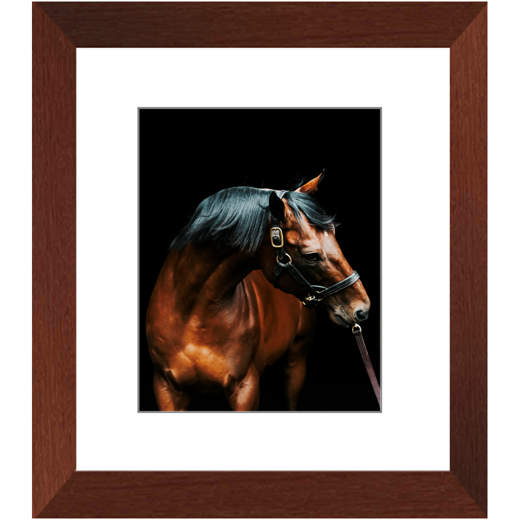 American Pharoah Series 3, Framed Print