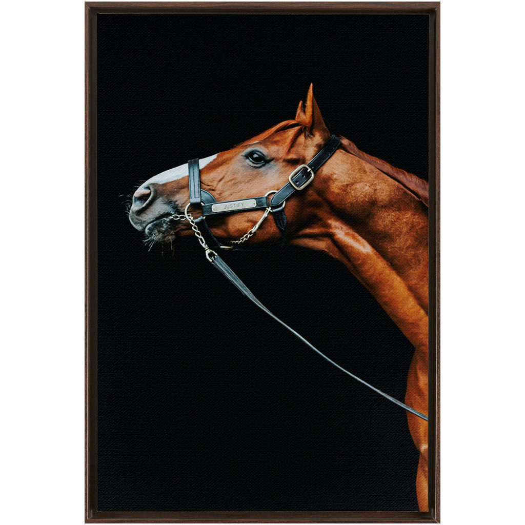 Justify Series 4, Framed Canvas