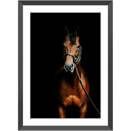 American Pharoah Series 4, Framed Print