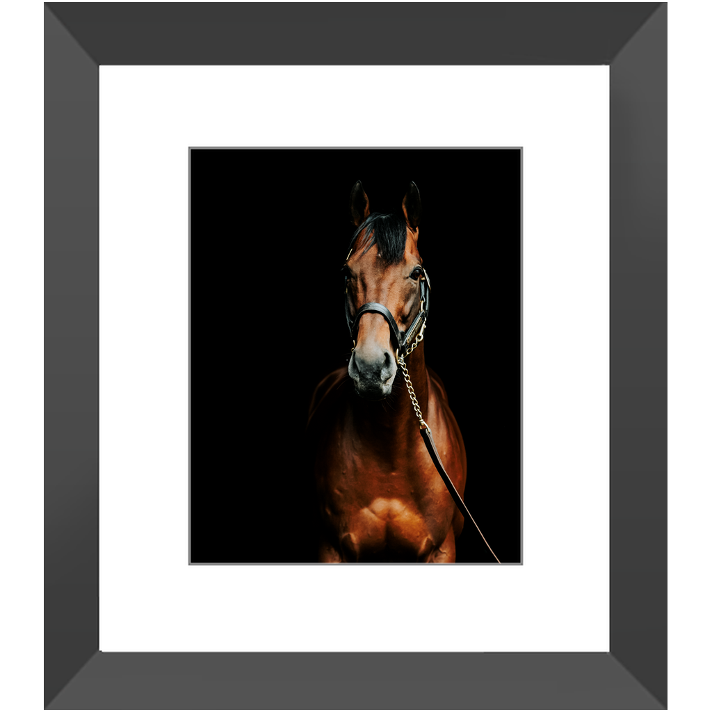 American Pharoah Series 4, Framed Print