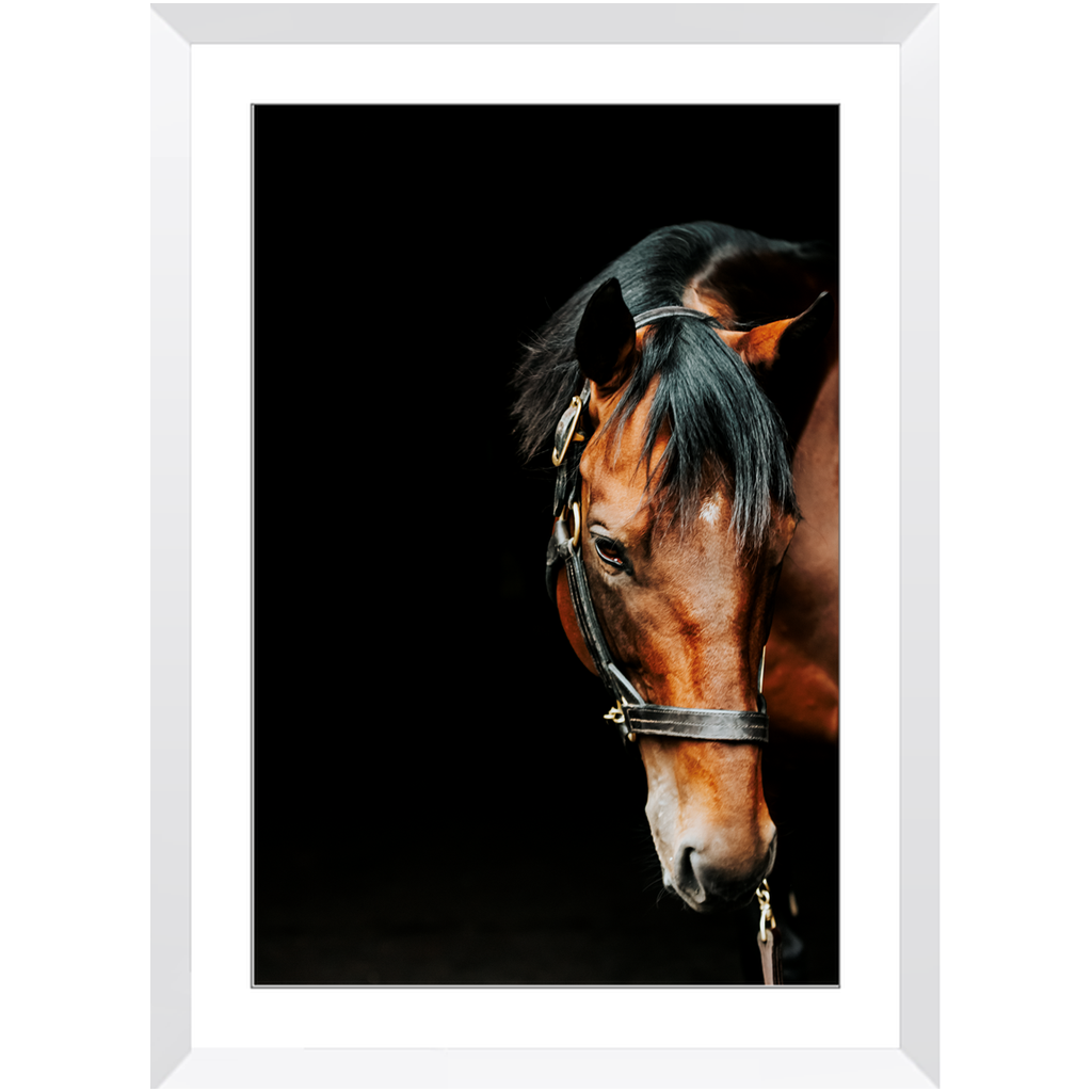 American Pharoah Series 6, Framed Print