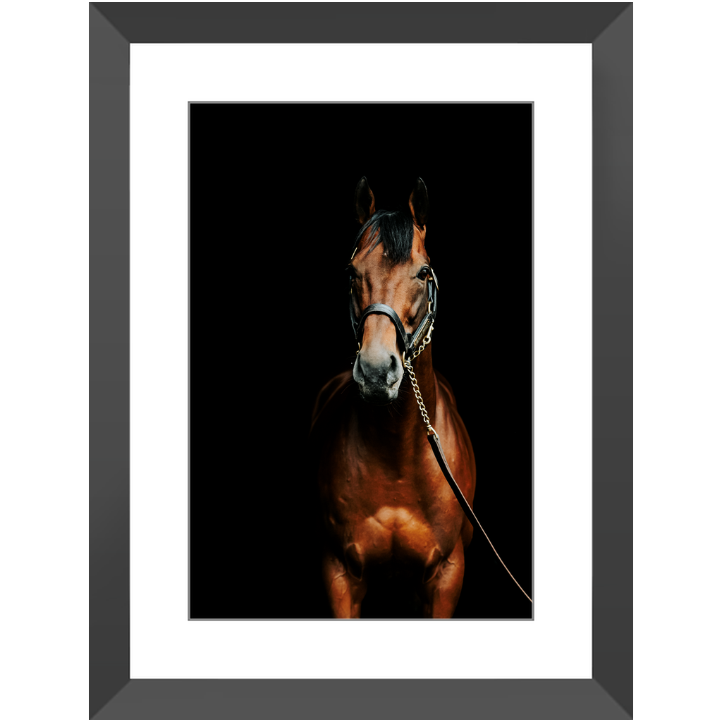 American Pharoah Series 4, Framed Print