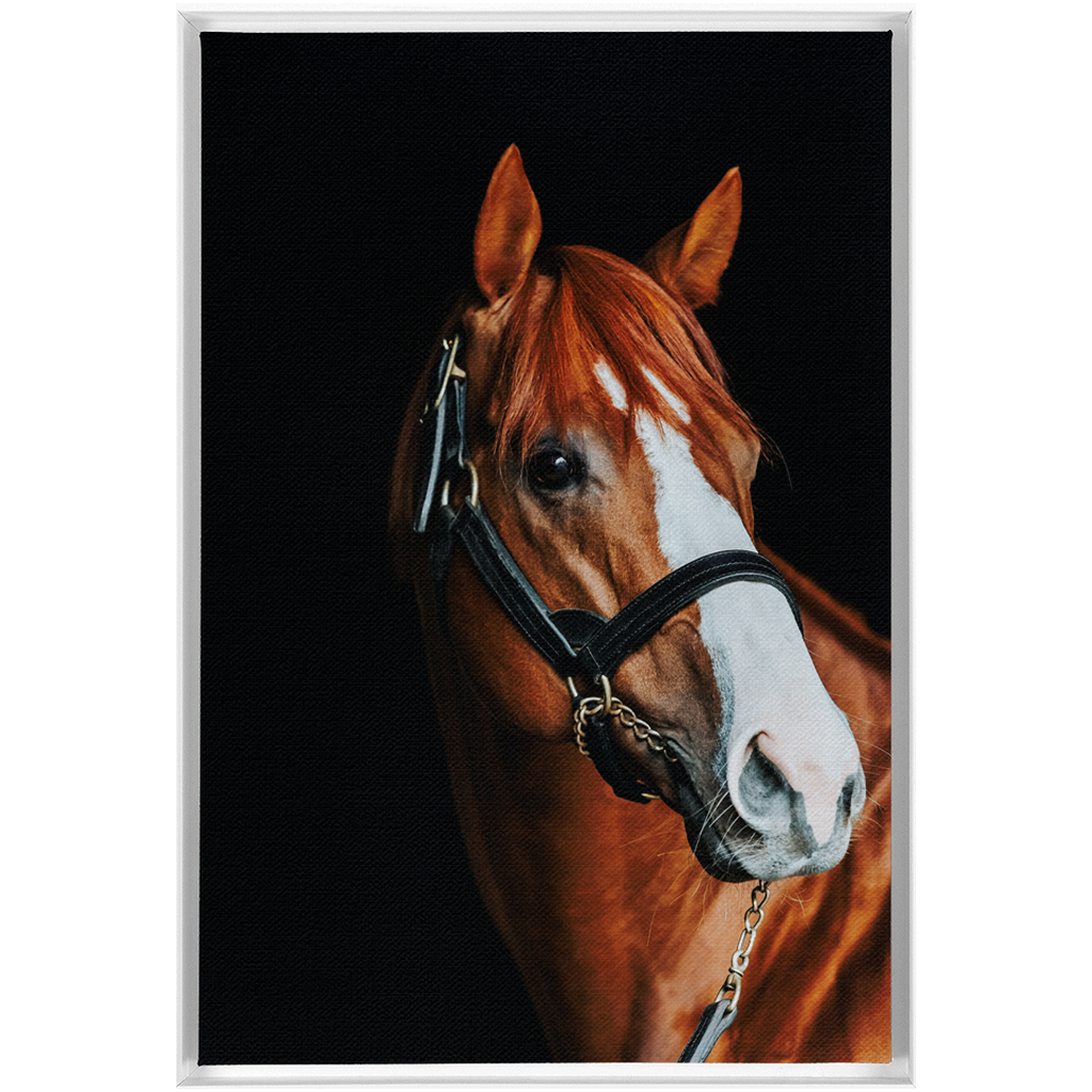 Justify Series 2, Framed Canvas