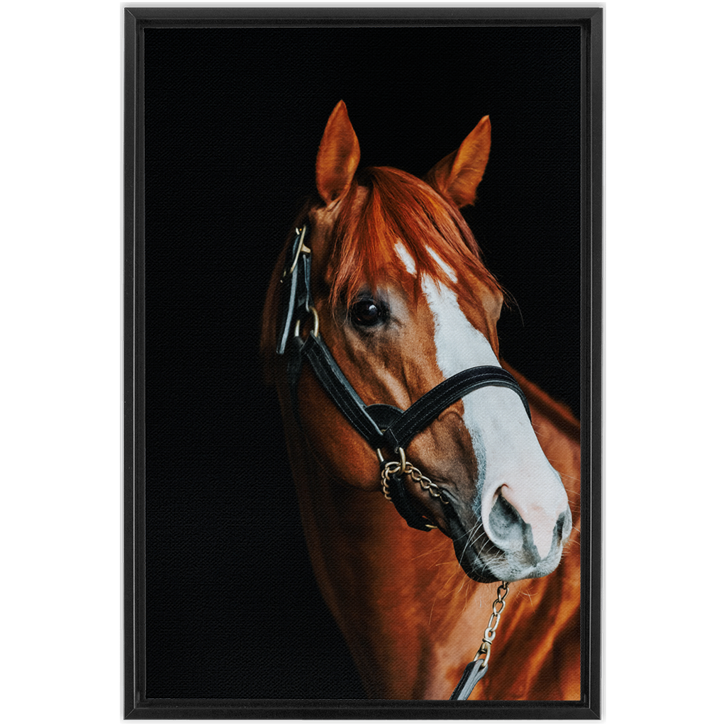 Justify Series 2, Framed Canvas