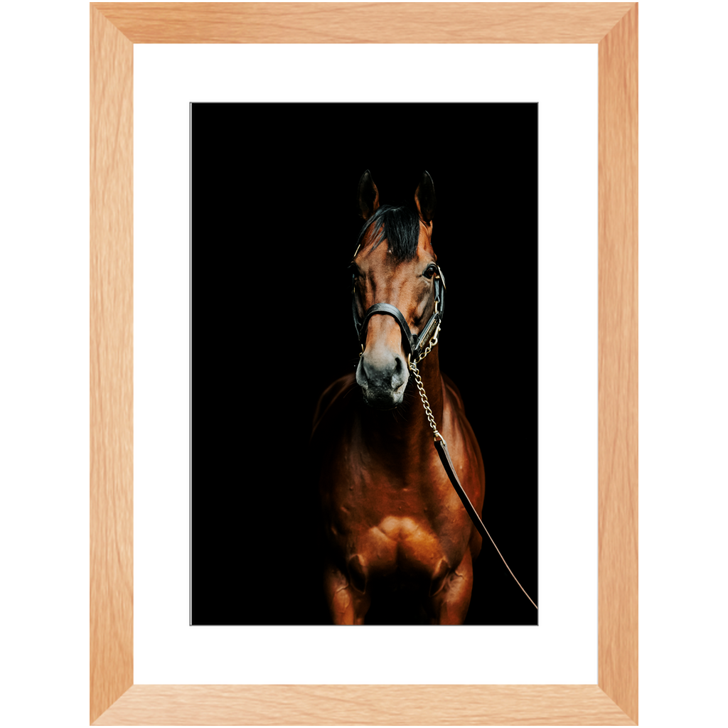 American Pharoah Series 4, Framed Print