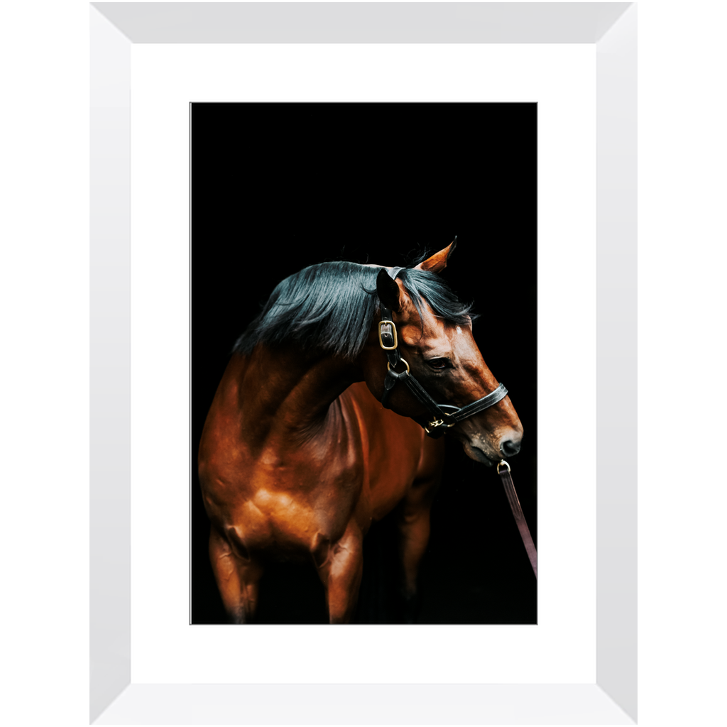 American Pharoah Series 3, Framed Print