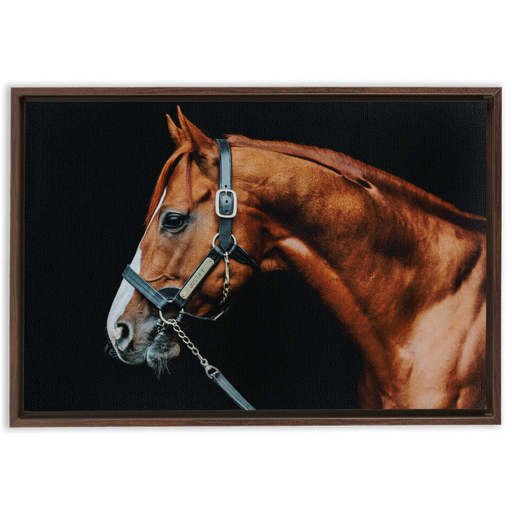 Justify Series 3, Framed Canvas