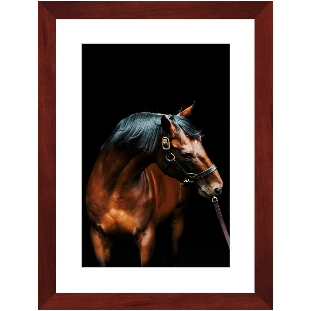 American Pharoah Series 3, Framed Print