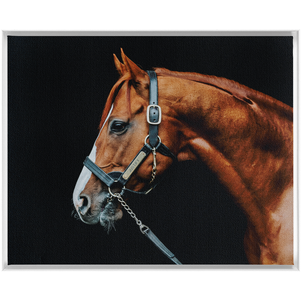 Justify Series 3, Framed Canvas