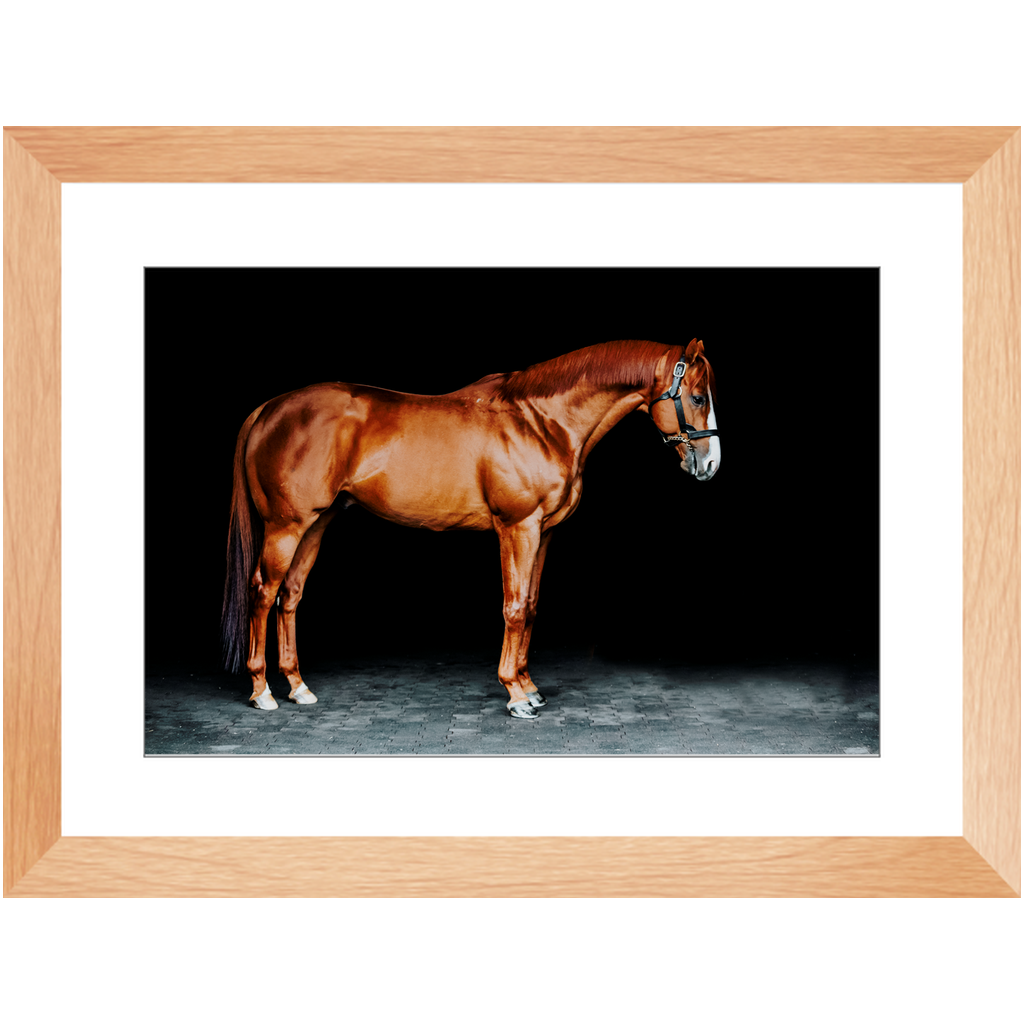 Justify Series 6, Framed Print