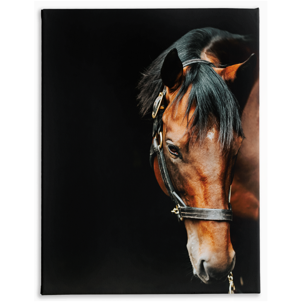 American Pharoah Series 6, Stretched Canvas