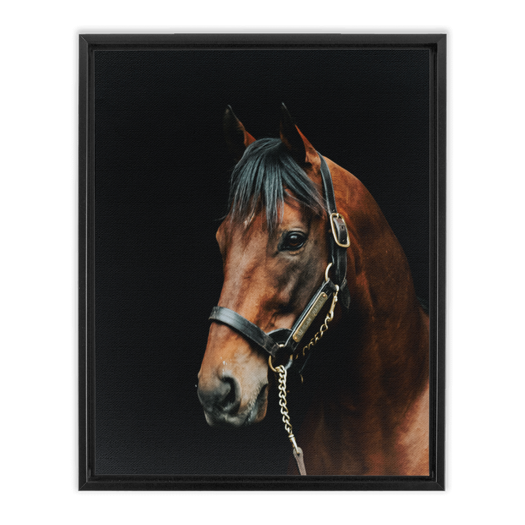 American Pharoah Series 2, Framed Canvas