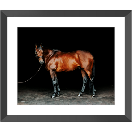 American Pharoah Series 1, Framed Print