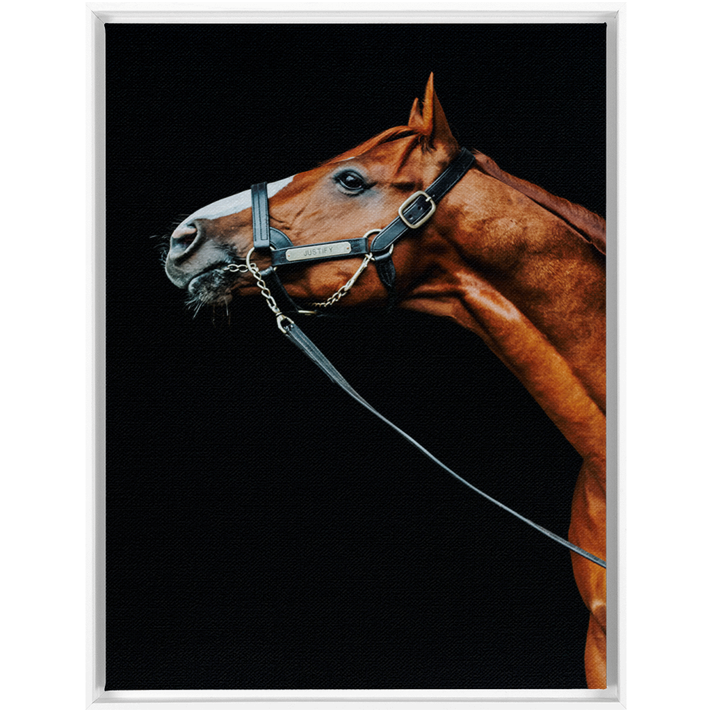 Justify Series 4, Framed Canvas