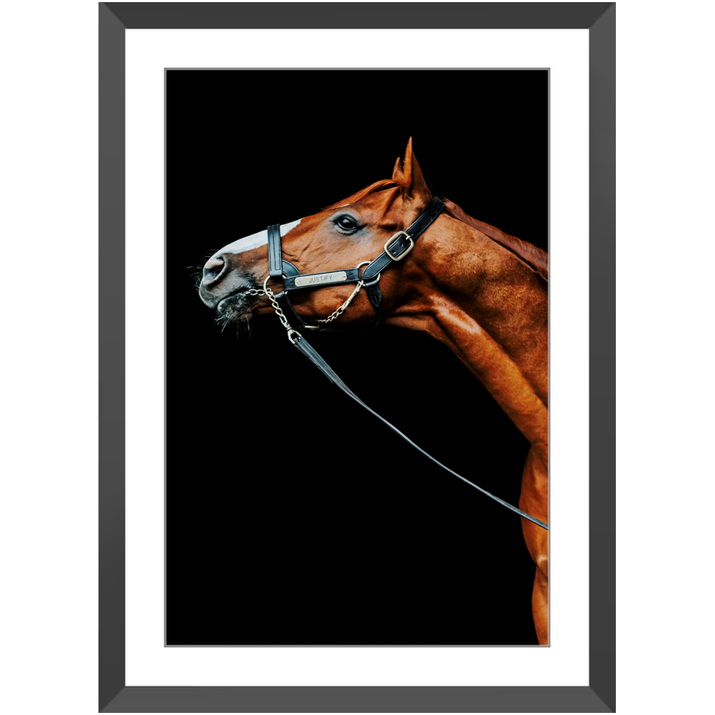 Justify Series 4, Framed Print