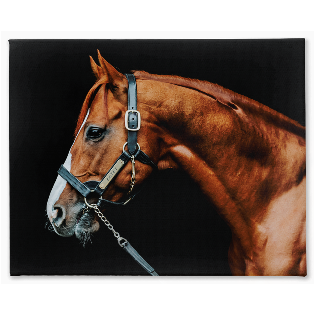 Justify Series 3, Stretched Canvas