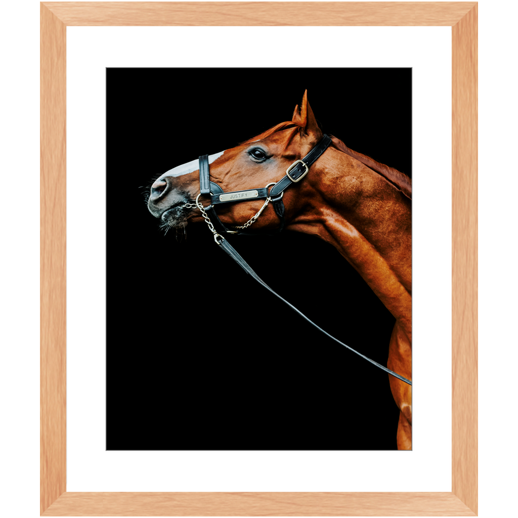 Justify Series 4, Framed Print