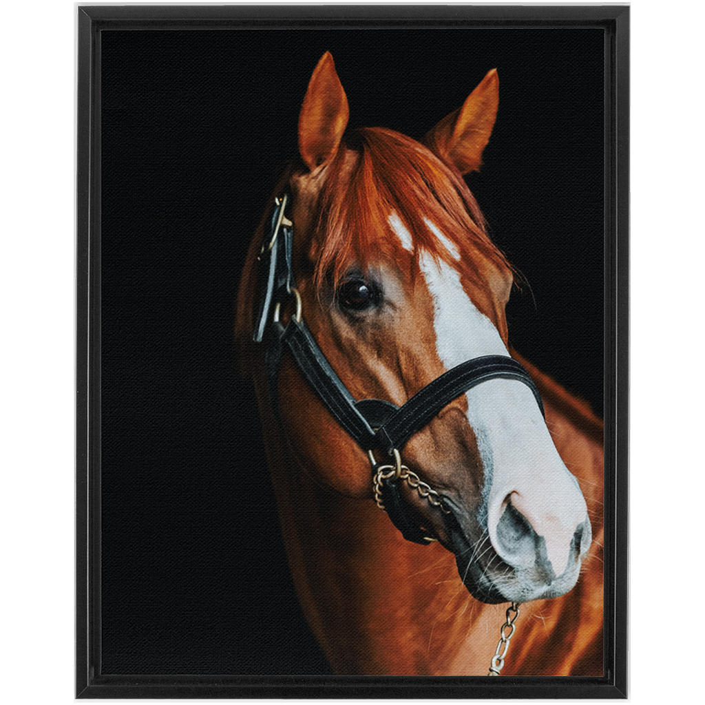 Justify Series 2, Framed Canvas