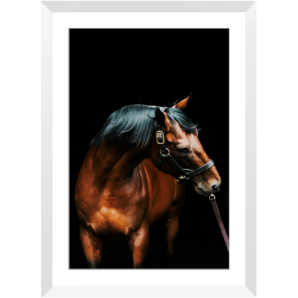 American Pharoah Series 3, Framed Print