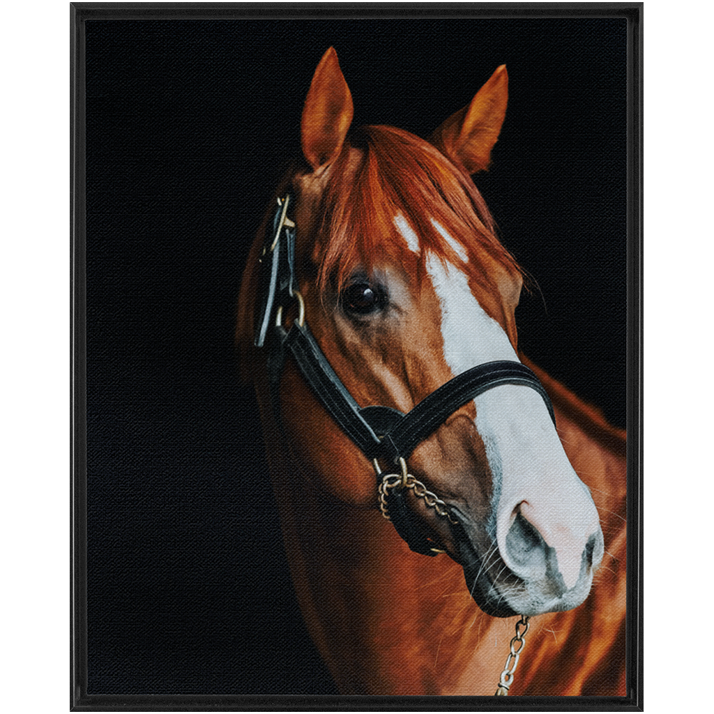 Justify Series 2, Framed Canvas