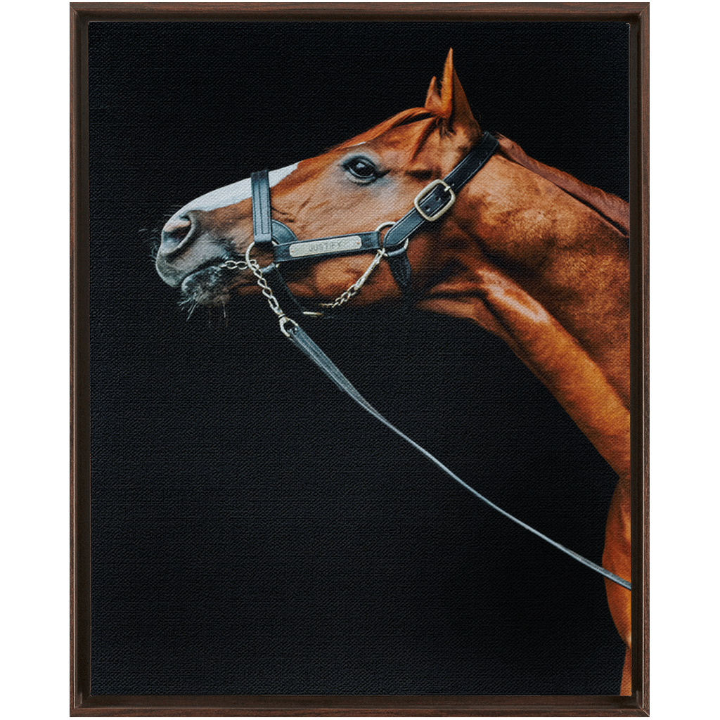 Justify Series 4, Framed Canvas