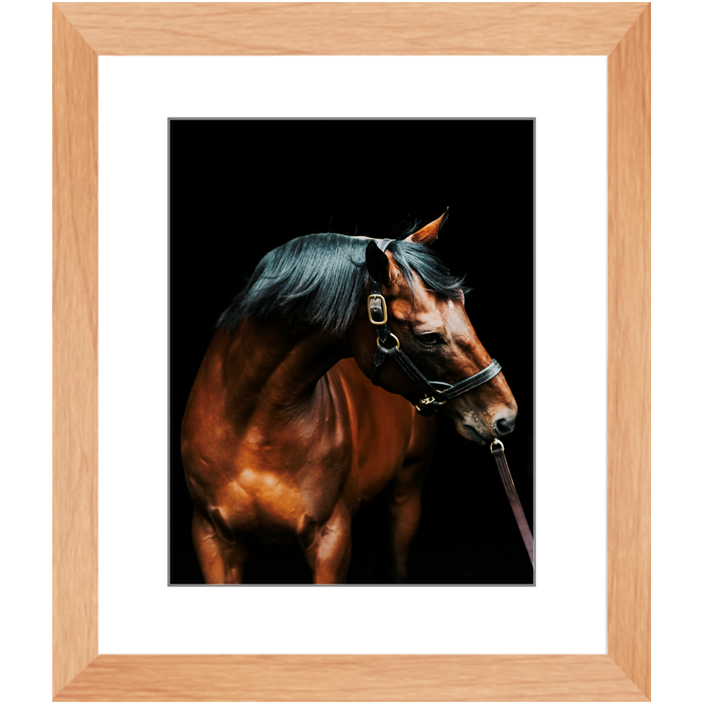 American Pharoah Series 3, Framed Print