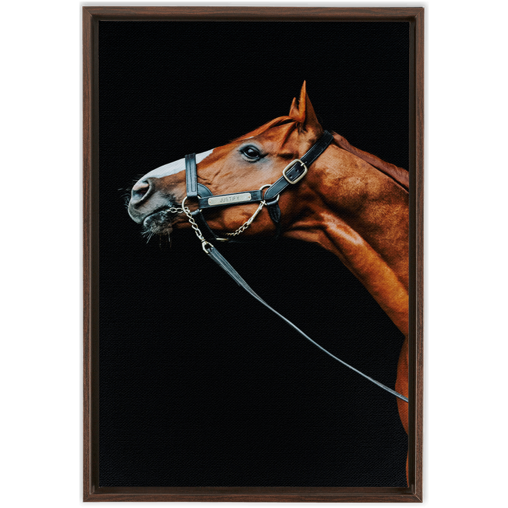 Justify Series 4, Framed Canvas