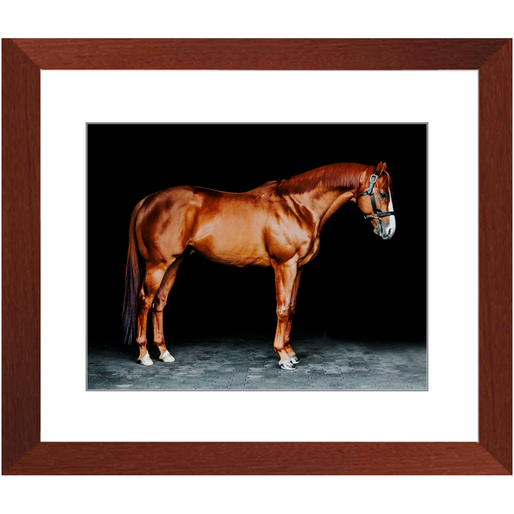 Justify Series 6, Framed Print