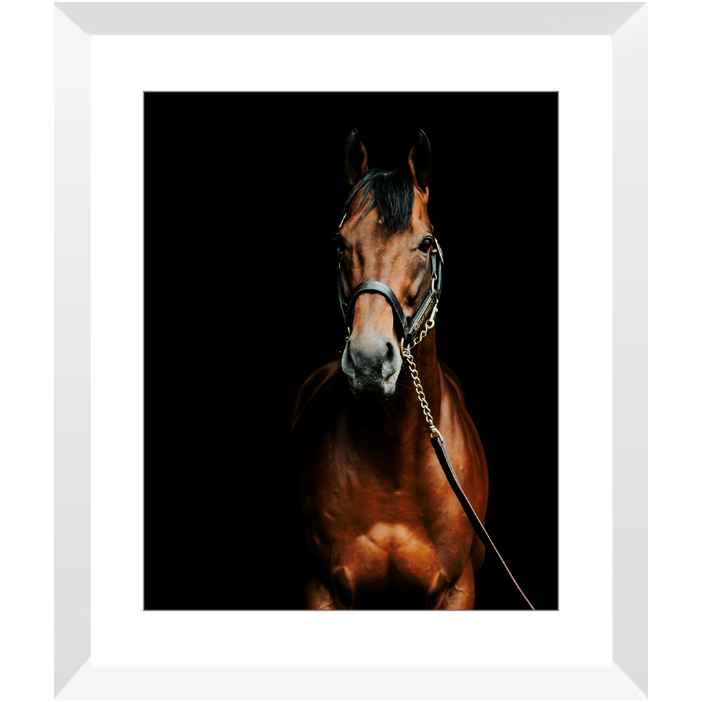 American Pharoah Series 4, Framed Print