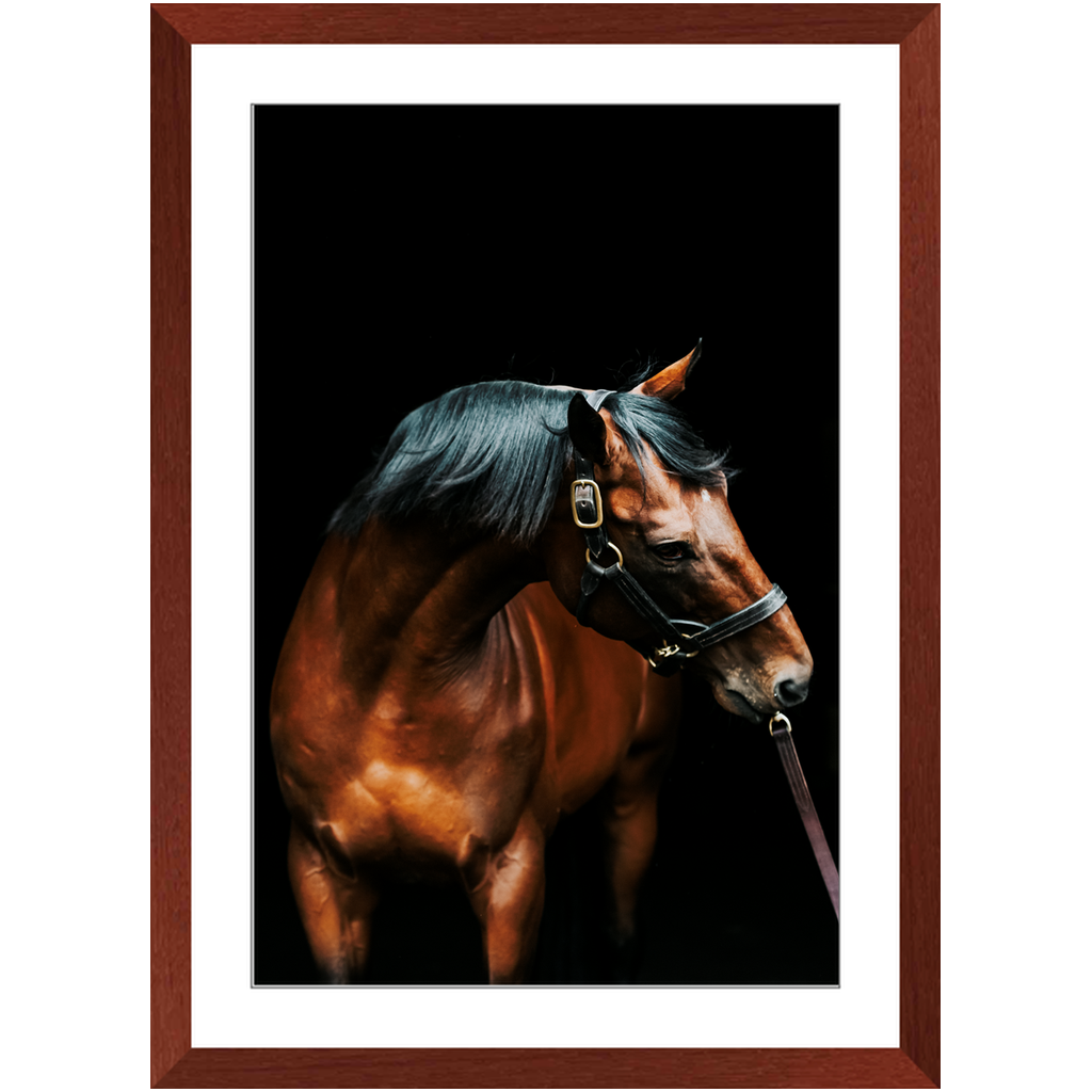 American Pharoah Series 3, Framed Print