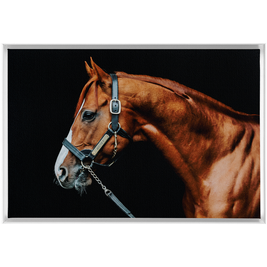 Justify Series 3, Framed Canvas