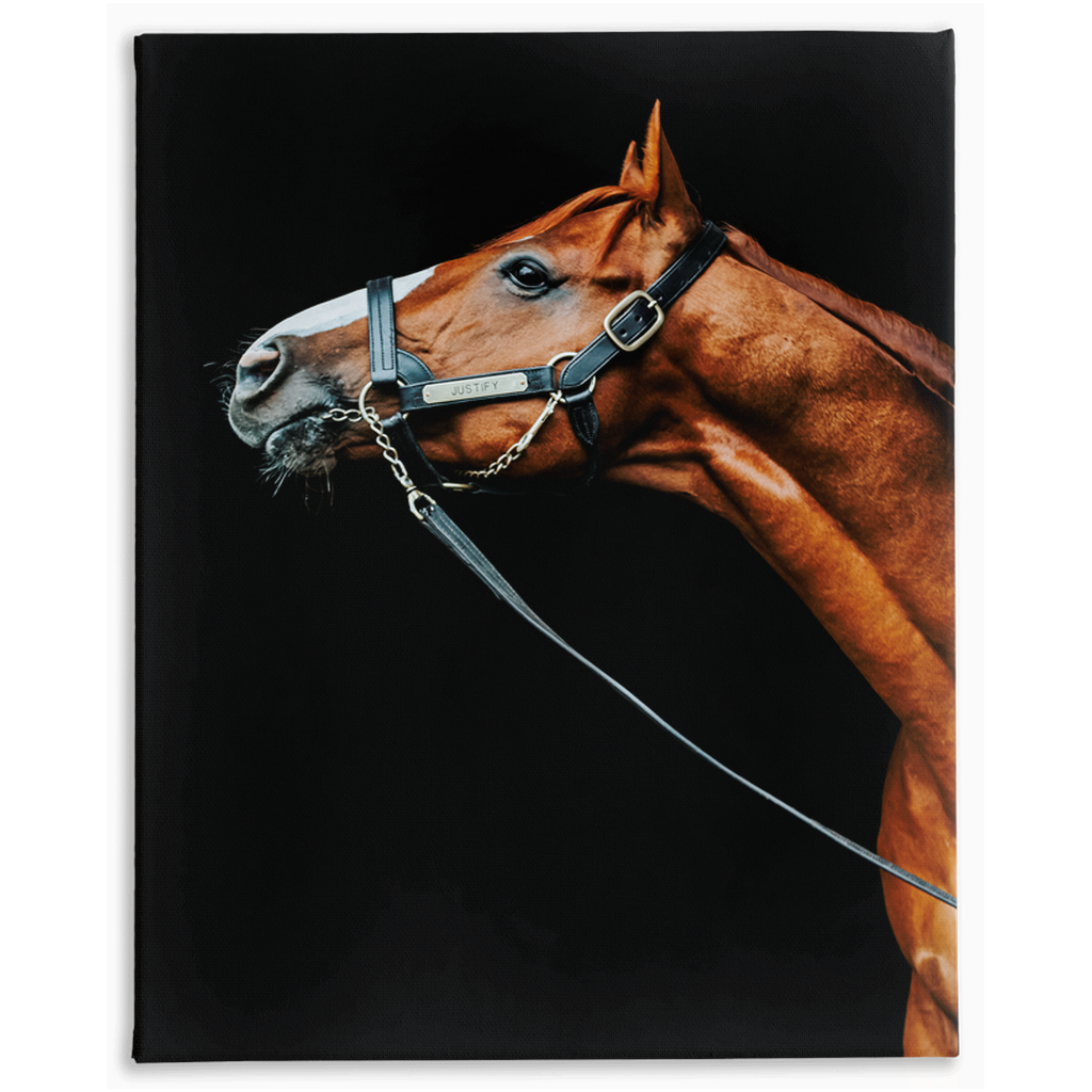 Justify Series 4, Stretched Canvas