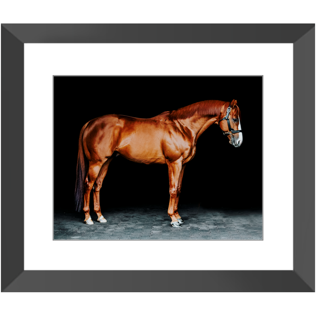 Justify Series 6, Framed Print