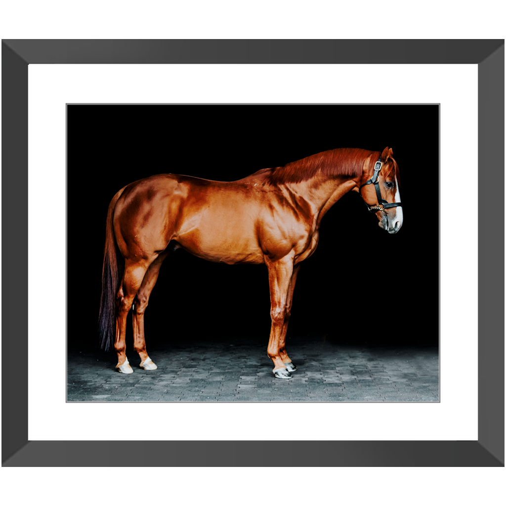 Justify Series 6, Framed Print