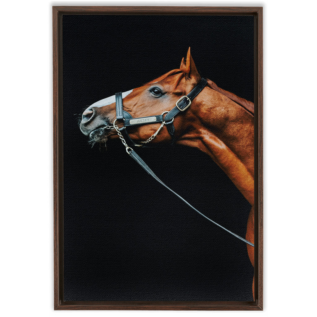 Justify Series 4, Framed Canvas