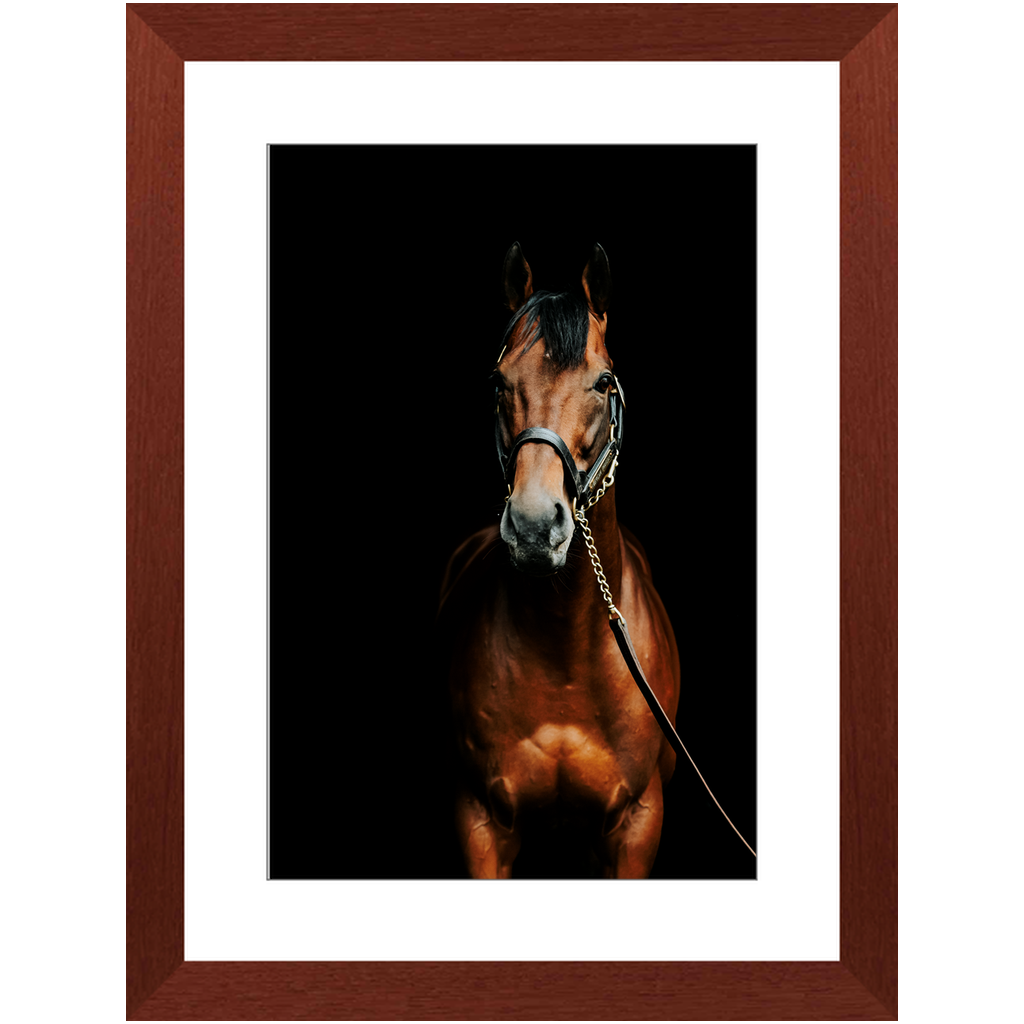 American Pharoah Series 4, Framed Print