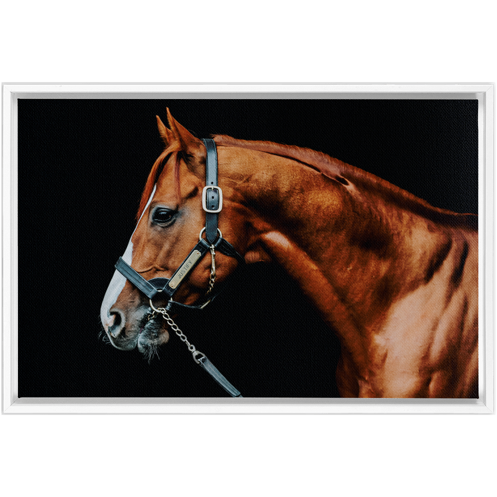 Justify Series 3, Framed Canvas