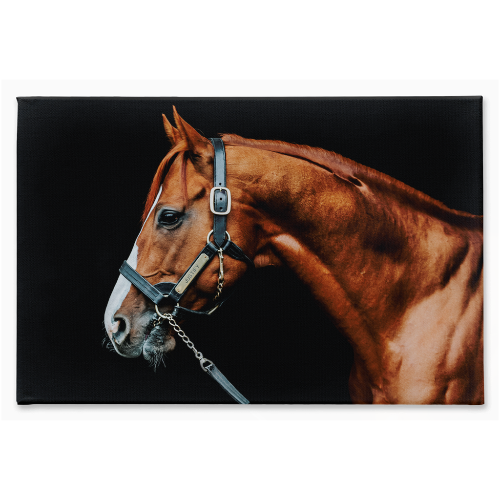 Justify Series 3, Stretched Canvas