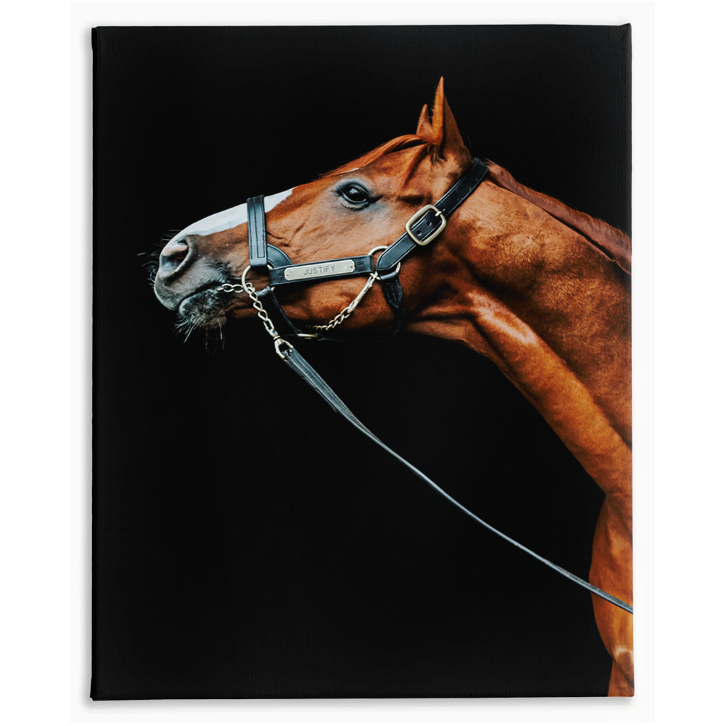 Justify Series 4, Stretched Canvas