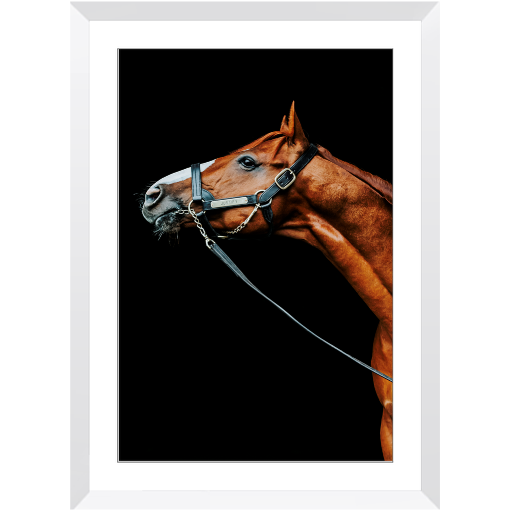 Justify Series 4, Framed Print