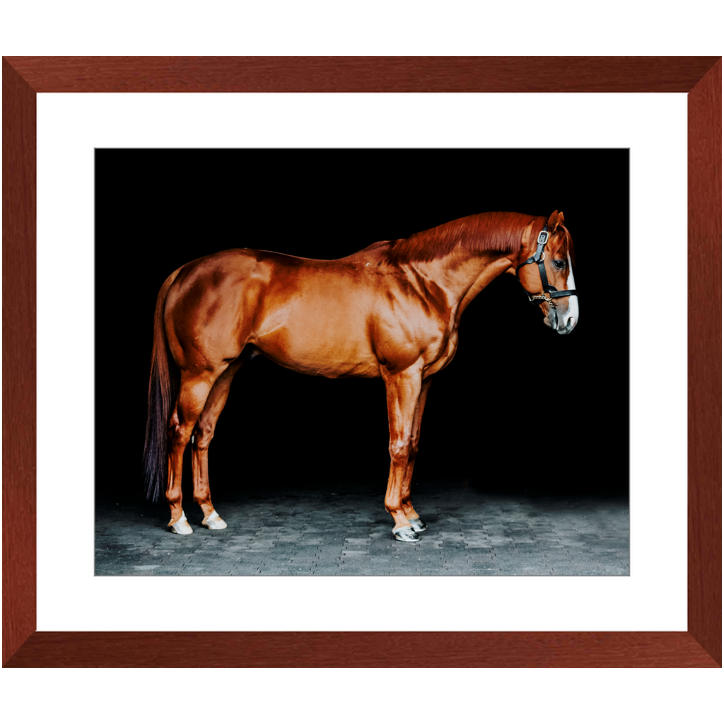 Justify Series 6, Framed Print