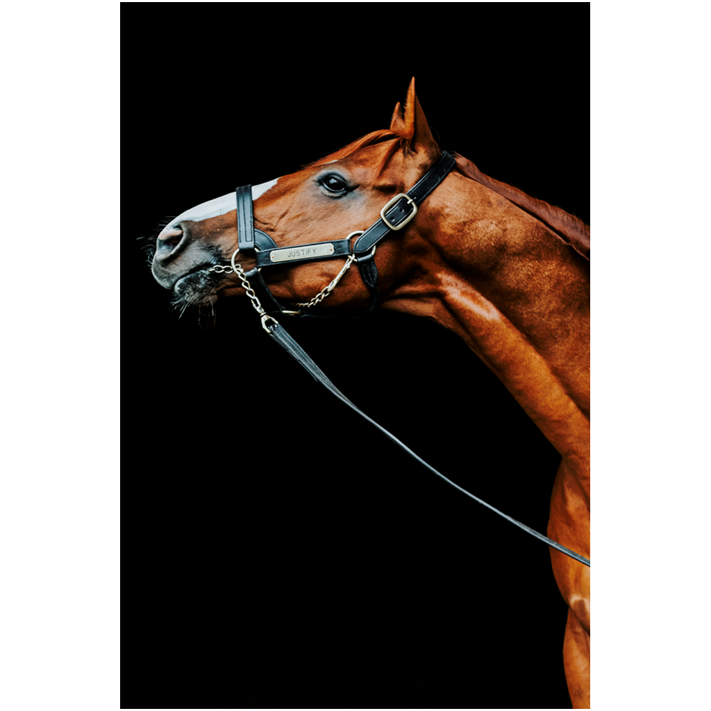 Justify Series 4, Print