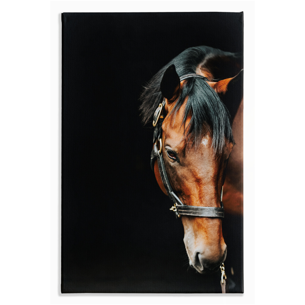 American Pharoah Series 6, Stretched Canvas