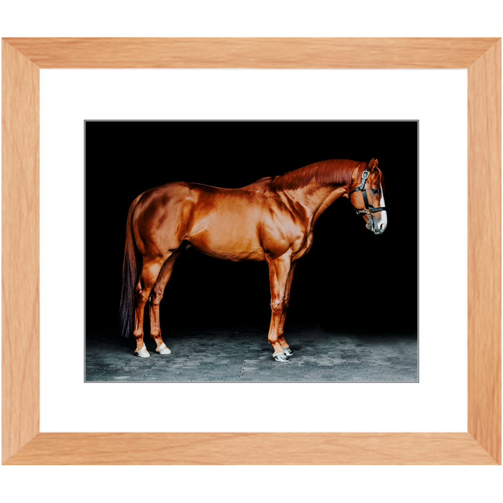 Justify Series 6, Framed Print