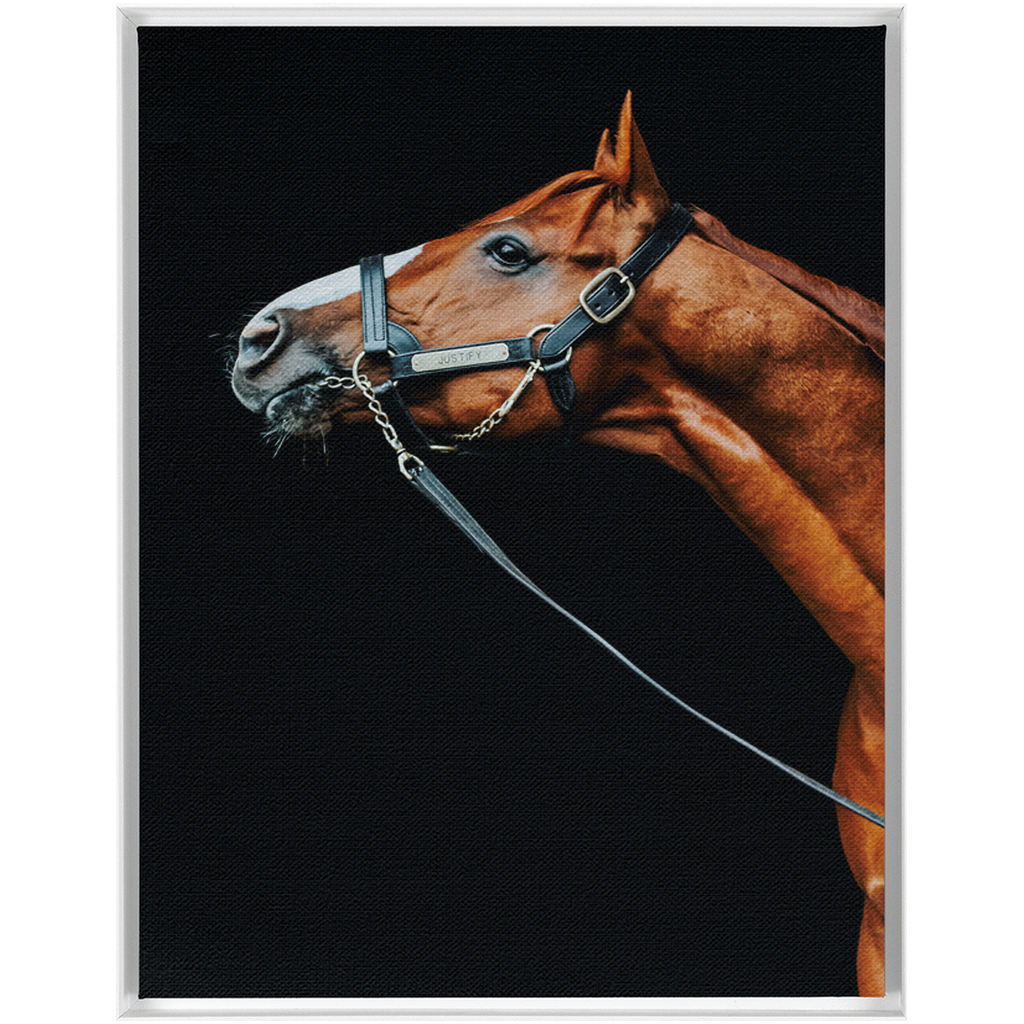 Justify Series 4, Framed Canvas