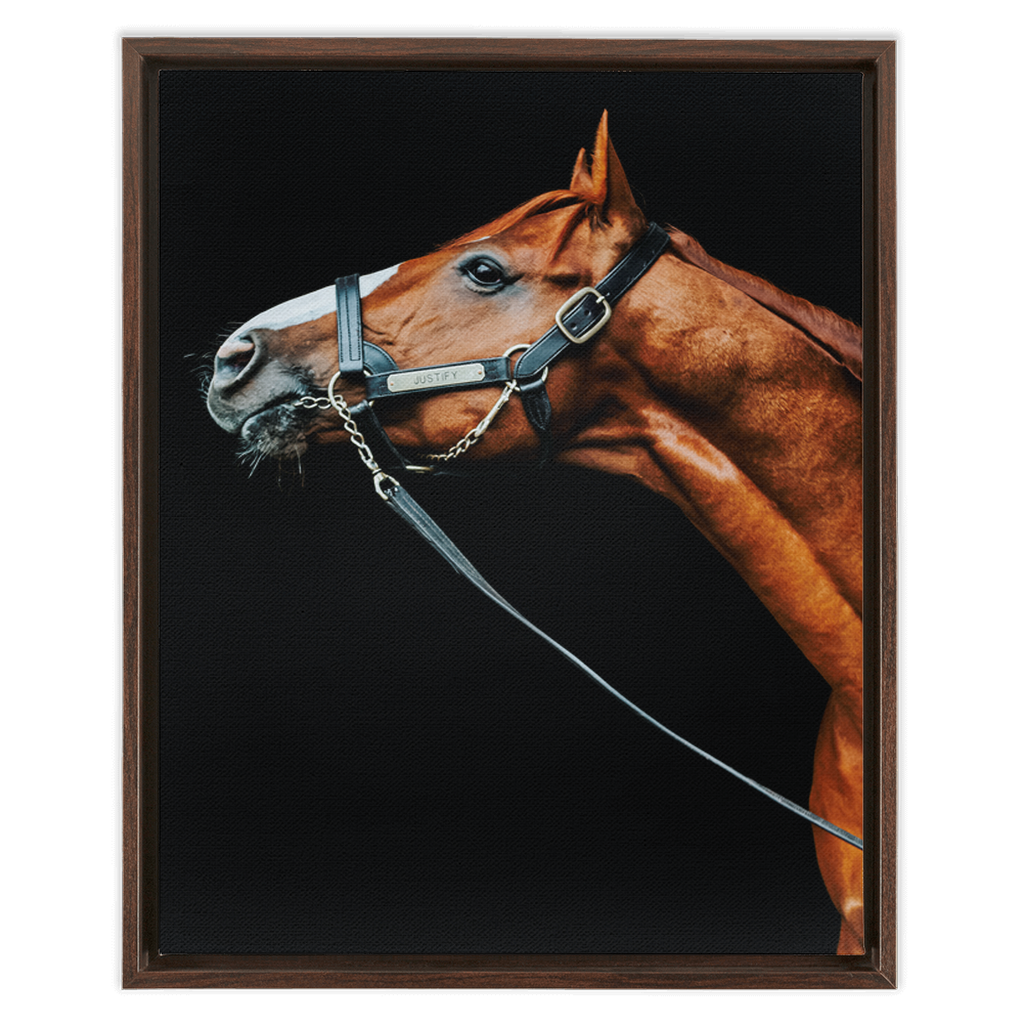 Justify Series 4, Framed Canvas