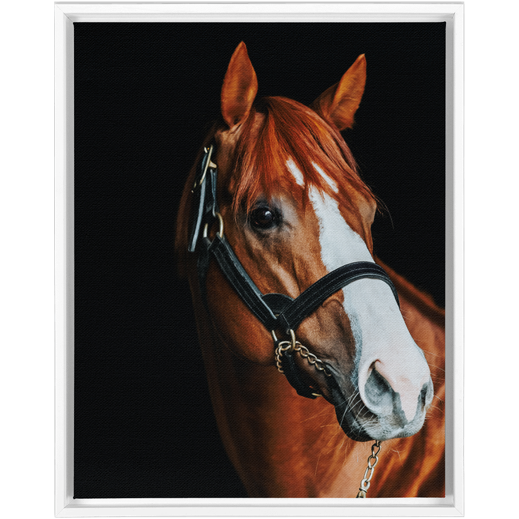 Justify Series 2, Framed Canvas