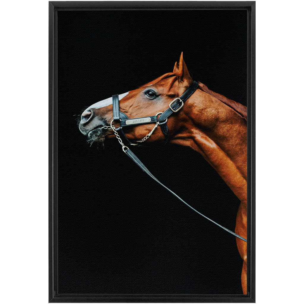 Justify Series 4, Framed Canvas