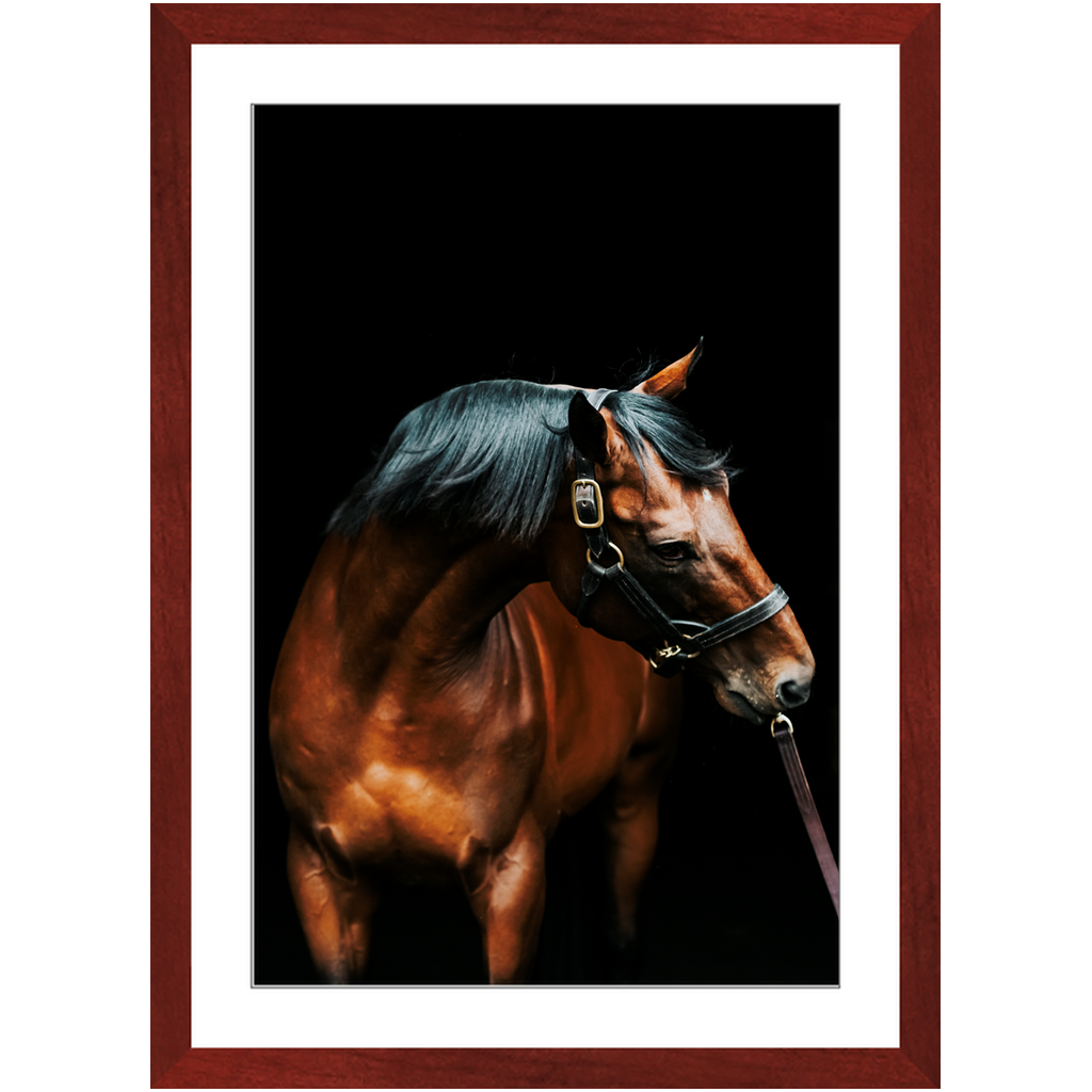 American Pharoah Series 3, Framed Print